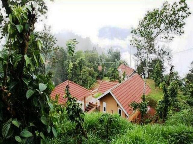 My Garden Of Eden, Wayanad 3